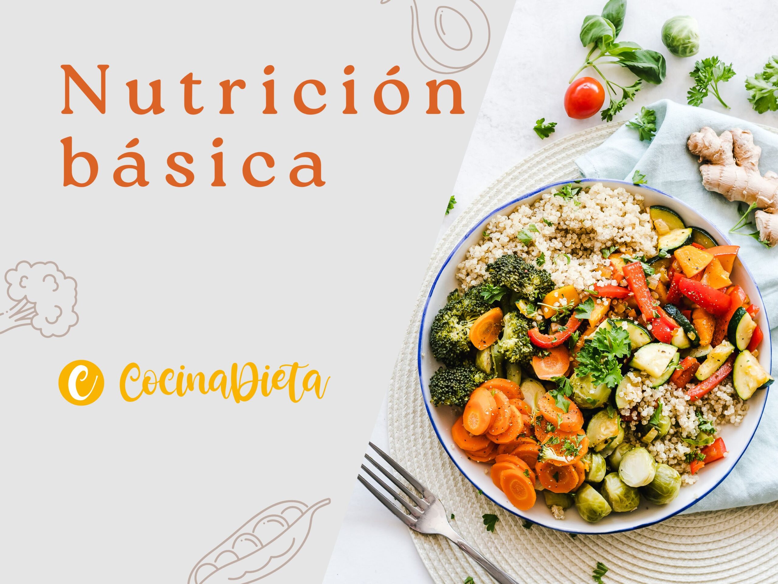 Curso Nutrición Básica